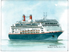 ms Borealis Schilderij ms Borealis