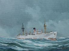 Schilderij ss Toloa